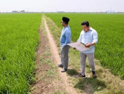 Menteri ATR/BPN Nusron Wahid Pastikan Lahan Sawah di Indramayu Tak Dikorbankan Untuk Industri