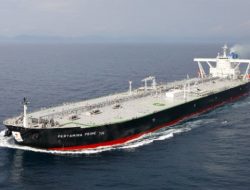 Ogah Bergantung ke Timur Tengah, Menko Airlangga Bidik Energi Afrika Dari Nigeria ke Gabon