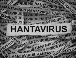Ini Daftar 5 Negara di Asia Yang Telah Terpapar Hantavirus