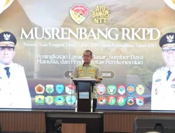 Gubernur Melki Laka Lena Pastikan Tak Ada PPPK di NTT yang Dirumahkan Tahun 2027