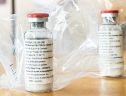 WHO Tetapkan Wabah Ebola di Kongo dan Uganda Sebagai PHEIC