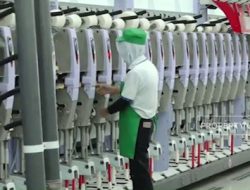 Menko Airlangga Ungkap Akar Masalah Penyebab Kinerja Manufaktur RI Melemah