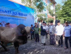 Serahkan Hewan Kurban ke Ponpes Darunnajah. Menteri ATR/BPN Nusron Wahid Titip Pesan Kebersamaan