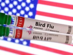 Otoritas Filipina Laporkan Wabah Flu Burung H5N1 Pada Unggas Rumahan di Oriental Mindoro